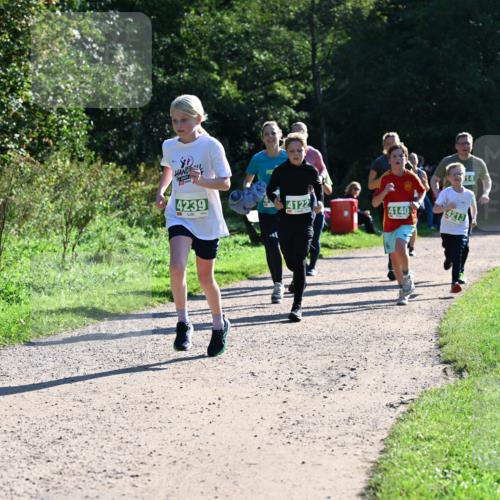27.09.2026 - 35. Volkslauf durch das schöne Alstertal Dr. Thomas Lammeyer http://msf.ph/oto/10568482 27.09.2026 10:53:10 Laufen 30, 4239, 4122, 4140, 4213 meine-sportfotos.de