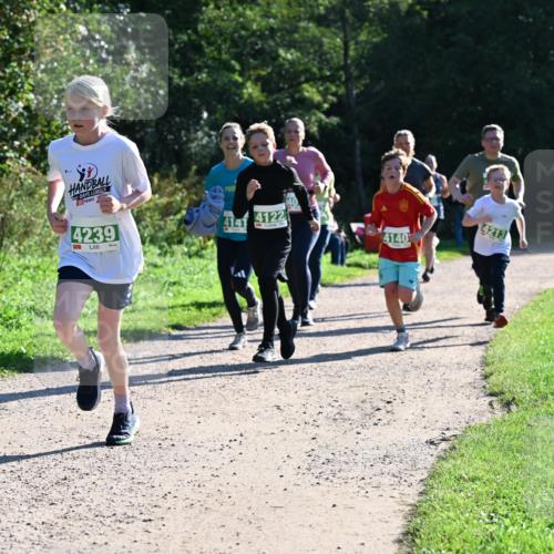27.09.2026 - 35. Volkslauf durch das schöne Alstertal Dr. Thomas Lammeyer http://msf.ph/oto/10568486 27.09.2026 10:53:11 Laufen 30, 4239, 4141, 4122, 4213, 4140 meine-sportfotos.de