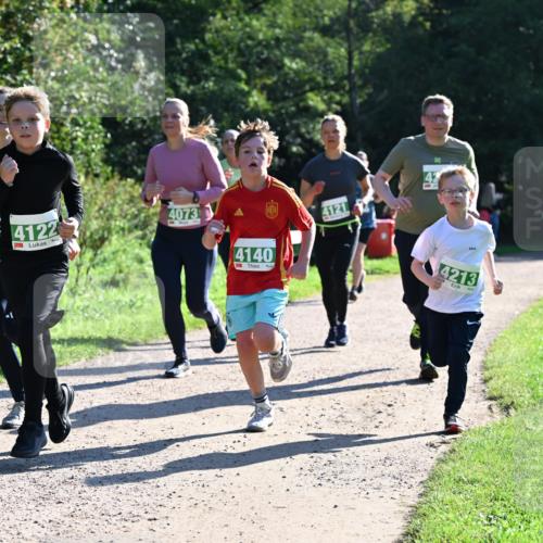 27.09.2026 - 35. Volkslauf durch das schöne Alstertal Dr. Thomas Lammeyer http://msf.ph/oto/10568494 27.09.2026 10:53:12 Laufen 44122, 4073, 4140, 4121, 42, 4213 meine-sportfotos.de
