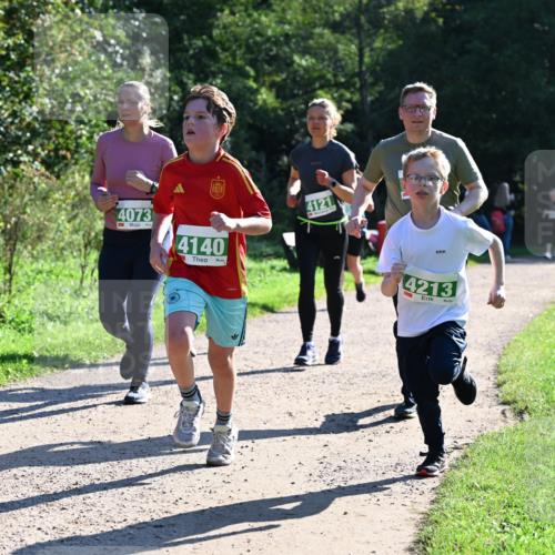 27.09.2026 - 35. Volkslauf durch das schöne Alstertal Dr. Thomas Lammeyer http://msf.ph/oto/10568497 27.09.2026 10:53:13 Laufen 4122, 4073, 4140, 4121, 4213 meine-sportfotos.de