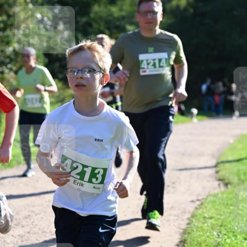 27.09.2026 - 35. Volkslauf durch das schöne Alstertal Dr. Thomas Lammeyer http://msf.ph/oto/10568501 27.09.2026 10:53:14 Laufen 4140, 4213, 4214 meine-sportfotos.de