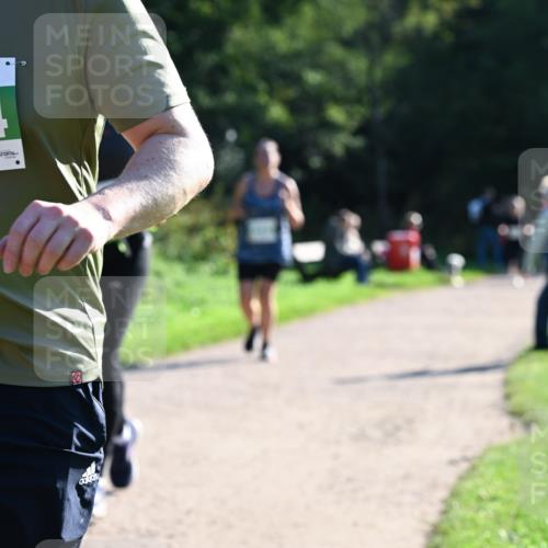 27.09.2026 - 35. Volkslauf durch das schöne Alstertal Dr. Thomas Lammeyer http://msf.ph/oto/10568507 27.09.2026 10:53:15 Laufen 4214 meine-sportfotos.de