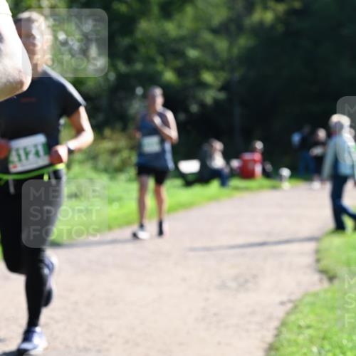 27.09.2026 - 35. Volkslauf durch das schöne Alstertal Dr. Thomas Lammeyer http://msf.ph/oto/10568508 27.09.2026 10:53:15 Laufen  meine-sportfotos.de