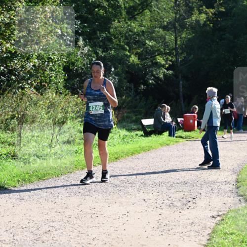 27.09.2026 - 35. Volkslauf durch das schöne Alstertal Dr. Thomas Lammeyer http://msf.ph/oto/10568510 27.09.2026 10:53:15 Laufen 4245 meine-sportfotos.de