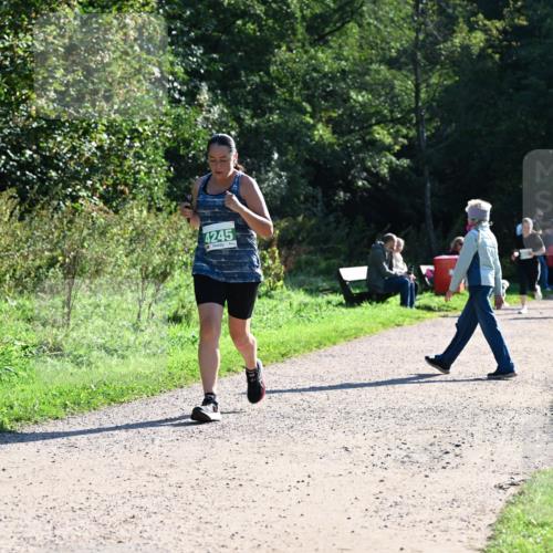 27.09.2026 - 35. Volkslauf durch das schöne Alstertal Dr. Thomas Lammeyer http://msf.ph/oto/10568511 27.09.2026 10:53:16 Laufen 4245 meine-sportfotos.de