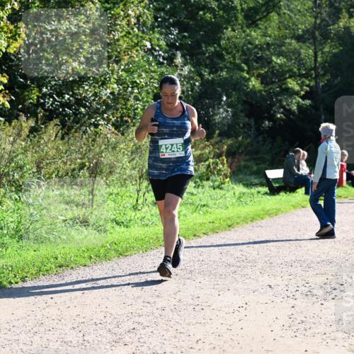 27.09.2026 - 35. Volkslauf durch das schöne Alstertal Dr. Thomas Lammeyer http://msf.ph/oto/10568513 27.09.2026 10:53:16 Laufen 4245 meine-sportfotos.de