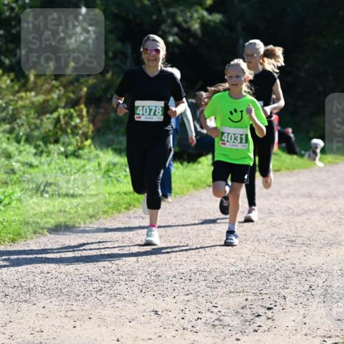27.09.2026 - 35. Volkslauf durch das schöne Alstertal Dr. Thomas Lammeyer http://msf.ph/oto/10568523 27.09.2026 10:53:20 Laufen 4078, 3, 4031 meine-sportfotos.de