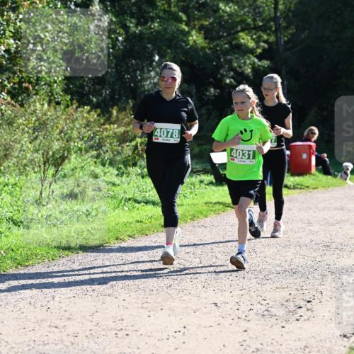 27.09.2026 - 35. Volkslauf durch das schöne Alstertal Dr. Thomas Lammeyer http://msf.ph/oto/10568527 27.09.2026 10:53:20 Laufen 4078, 4031 meine-sportfotos.de
