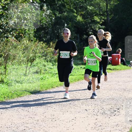 27.09.2026 - 35. Volkslauf durch das schöne Alstertal Dr. Thomas Lammeyer http://msf.ph/oto/10568528 27.09.2026 10:53:20 Laufen 4078, 4031 meine-sportfotos.de