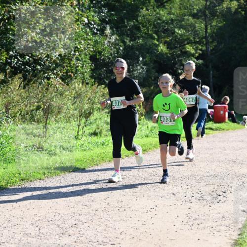 27.09.2026 - 35. Volkslauf durch das schöne Alstertal Dr. Thomas Lammeyer http://msf.ph/oto/10568530 27.09.2026 10:53:21 Laufen 407, 403, 4067 meine-sportfotos.de