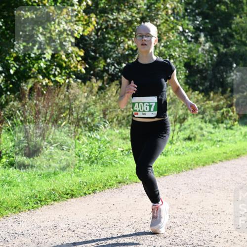 27.09.2026 - 35. Volkslauf durch das schöne Alstertal Dr. Thomas Lammeyer http://msf.ph/oto/10568541 27.09.2026 10:53:23 Laufen 4067 meine-sportfotos.de