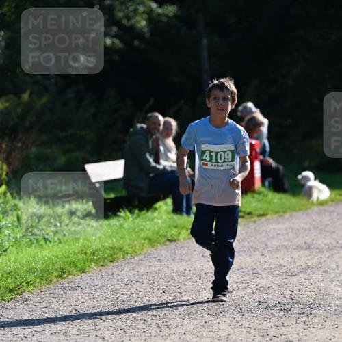 27.09.2026 - 35. Volkslauf durch das schöne Alstertal Dr. Thomas Lammeyer http://msf.ph/oto/10568545 27.09.2026 10:53:36 Laufen 4109 meine-sportfotos.de