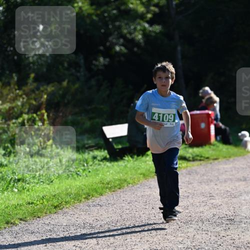 27.09.2026 - 35. Volkslauf durch das schöne Alstertal Dr. Thomas Lammeyer http://msf.ph/oto/10568548 27.09.2026 10:53:37 Laufen 4109 meine-sportfotos.de