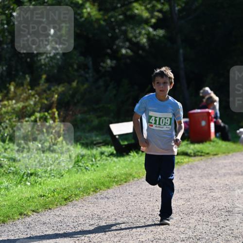27.09.2026 - 35. Volkslauf durch das schöne Alstertal Dr. Thomas Lammeyer http://msf.ph/oto/10568549 27.09.2026 10:53:37 Laufen 4109 meine-sportfotos.de