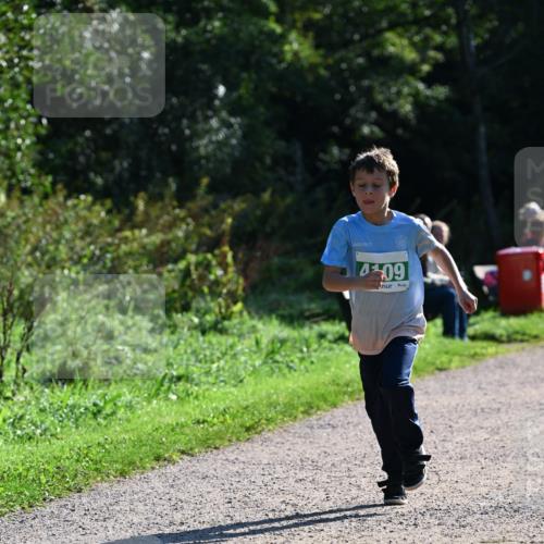 27.09.2026 - 35. Volkslauf durch das schöne Alstertal Dr. Thomas Lammeyer http://msf.ph/oto/10568552 27.09.2026 10:53:37 Laufen 9, 09 meine-sportfotos.de