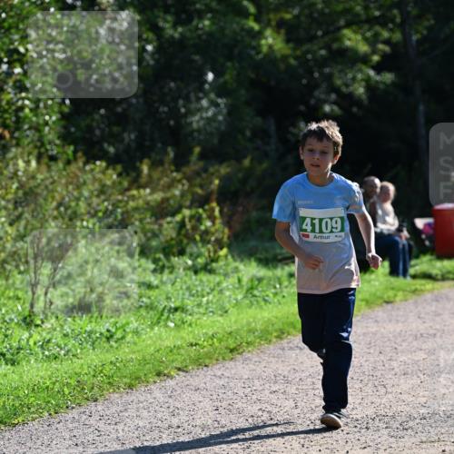 27.09.2026 - 35. Volkslauf durch das schöne Alstertal Dr. Thomas Lammeyer http://msf.ph/oto/10568553 27.09.2026 10:53:38 Laufen 4109 meine-sportfotos.de
