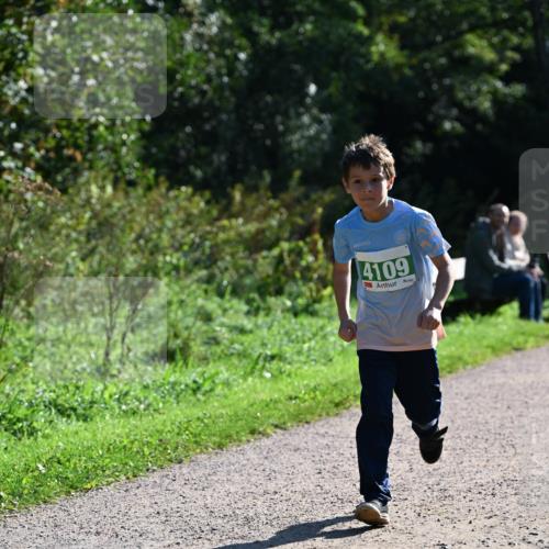 27.09.2026 - 35. Volkslauf durch das schöne Alstertal Dr. Thomas Lammeyer http://msf.ph/oto/10568555 27.09.2026 10:53:38 Laufen 4109 meine-sportfotos.de