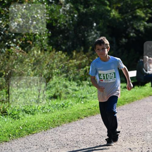 27.09.2026 - 35. Volkslauf durch das schöne Alstertal Dr. Thomas Lammeyer http://msf.ph/oto/10568556 27.09.2026 10:53:38 Laufen 4109 meine-sportfotos.de