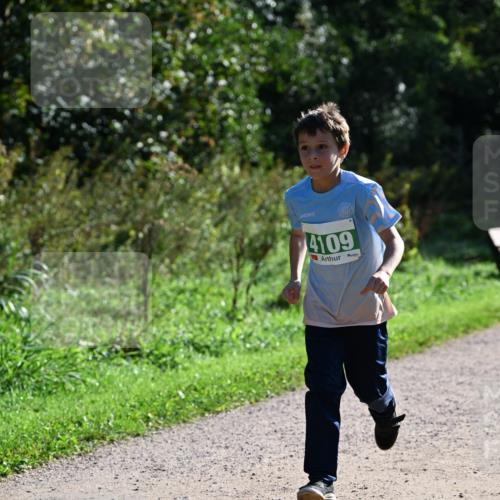 27.09.2026 - 35. Volkslauf durch das schöne Alstertal Dr. Thomas Lammeyer http://msf.ph/oto/10568559 27.09.2026 10:53:38 Laufen 4109 meine-sportfotos.de