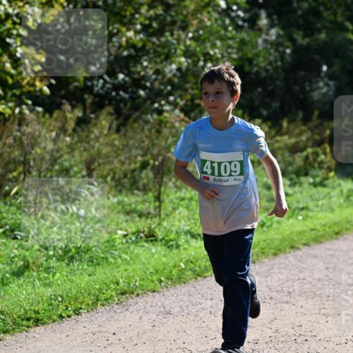 27.09.2026 - 35. Volkslauf durch das schöne Alstertal Dr. Thomas Lammeyer http://msf.ph/oto/10568561 27.09.2026 10:53:39 Laufen 4109 meine-sportfotos.de