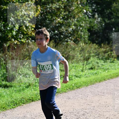 27.09.2026 - 35. Volkslauf durch das schöne Alstertal Dr. Thomas Lammeyer http://msf.ph/oto/10568564 27.09.2026 10:53:39 Laufen 4109 meine-sportfotos.de
