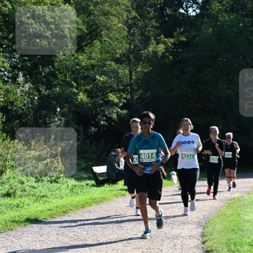 27.09.2026 - 35. Volkslauf durch das schöne Alstertal Dr. Thomas Lammeyer http://msf.ph/oto/10568574 27.09.2026 10:53:48 Laufen 4014, 4234, 4, 4185, 4111 meine-sportfotos.de