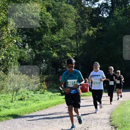 27.09.2026 - 35. Volkslauf durch das schöne Alstertal Dr. Thomas Lammeyer http://msf.ph/oto/10568578 27.09.2026 10:53:49 Laufen 4014, 090, 4234, 4185, 11 meine-sportfotos.de