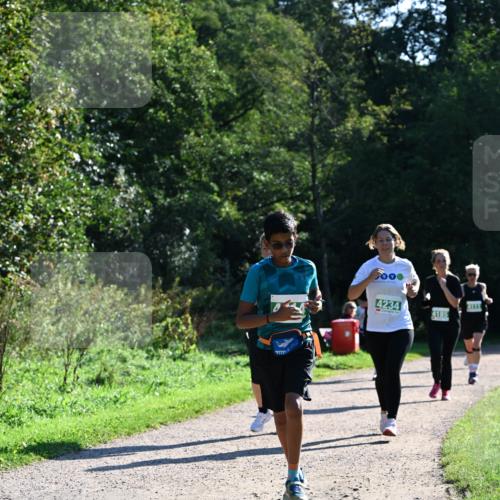 27.09.2026 - 35. Volkslauf durch das schöne Alstertal Dr. Thomas Lammeyer http://msf.ph/oto/10568579 27.09.2026 10:53:49 Laufen 000, 4234, 4185 meine-sportfotos.de