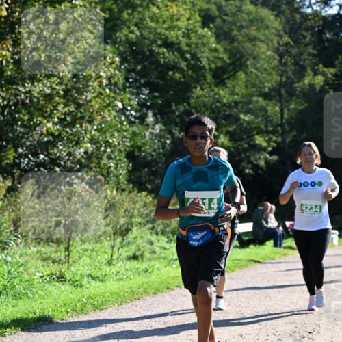 27.09.2026 - 35. Volkslauf durch das schöne Alstertal Dr. Thomas Lammeyer http://msf.ph/oto/10568584 27.09.2026 10:53:50 Laufen 314, 4234 meine-sportfotos.de