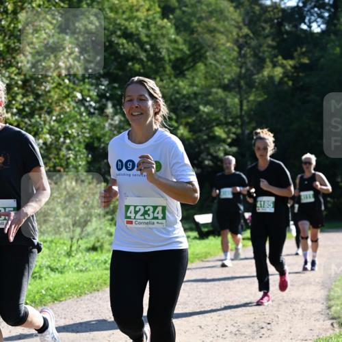 27.09.2026 - 35. Volkslauf durch das schöne Alstertal Dr. Thomas Lammeyer http://msf.ph/oto/10568593 27.09.2026 10:53:51 Laufen 09, 4234, 4185 meine-sportfotos.de