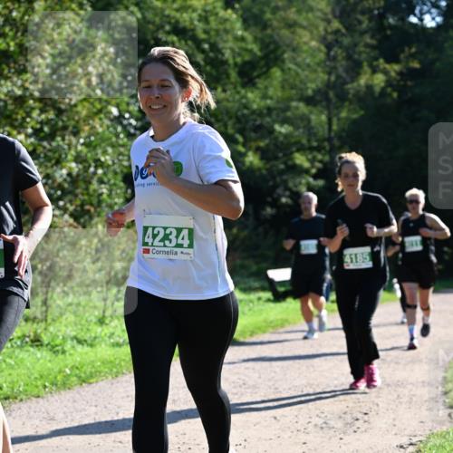 27.09.2026 - 35. Volkslauf durch das schöne Alstertal Dr. Thomas Lammeyer http://msf.ph/oto/10568594 27.09.2026 10:53:51 Laufen 4234, 4185 meine-sportfotos.de