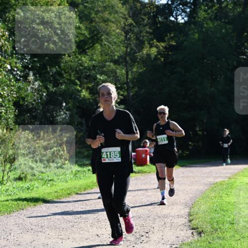 27.09.2026 - 35. Volkslauf durch das schöne Alstertal Dr. Thomas Lammeyer http://msf.ph/oto/10568596 27.09.2026 10:53:52 Laufen 4185, 4111 meine-sportfotos.de