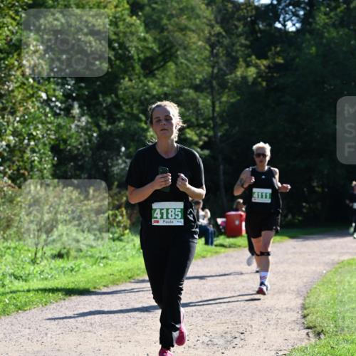 27.09.2026 - 35. Volkslauf durch das schöne Alstertal Dr. Thomas Lammeyer http://msf.ph/oto/10568598 27.09.2026 10:53:52 Laufen 4185, 4111 meine-sportfotos.de