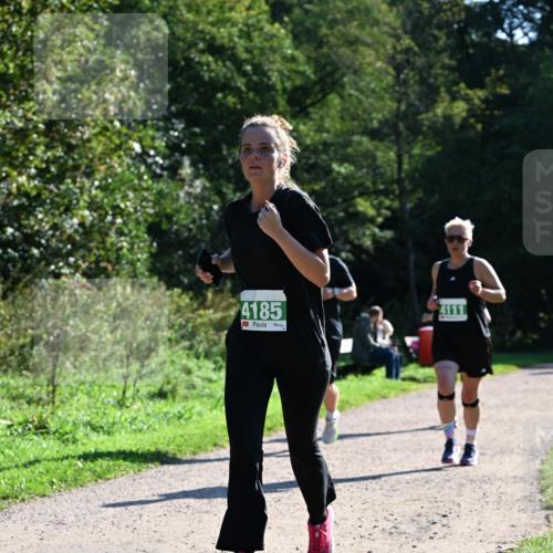 27.09.2026 - 35. Volkslauf durch das schöne Alstertal Dr. Thomas Lammeyer http://msf.ph/oto/10568600 27.09.2026 10:53:53 Laufen 4185, 4111 meine-sportfotos.de