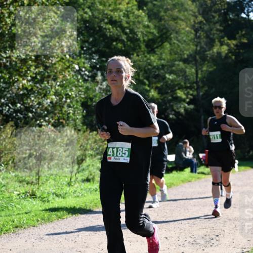 27.09.2026 - 35. Volkslauf durch das schöne Alstertal Dr. Thomas Lammeyer http://msf.ph/oto/10568601 27.09.2026 10:53:53 Laufen 4185, 4111 meine-sportfotos.de