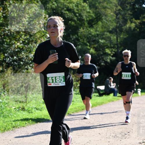 27.09.2026 - 35. Volkslauf durch das schöne Alstertal Dr. Thomas Lammeyer http://msf.ph/oto/10568603 27.09.2026 10:53:53 Laufen 4185, 4165 meine-sportfotos.de