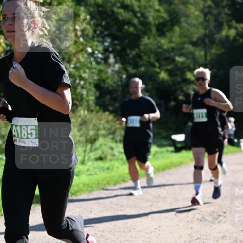 27.09.2026 - 35. Volkslauf durch das schöne Alstertal Dr. Thomas Lammeyer http://msf.ph/oto/10568606 27.09.2026 10:53:54 Laufen 4185 meine-sportfotos.de