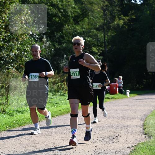 27.09.2026 - 35. Volkslauf durch das schöne Alstertal Dr. Thomas Lammeyer http://msf.ph/oto/10568609 27.09.2026 10:53:54 Laufen 4165, 4111, 412 meine-sportfotos.de