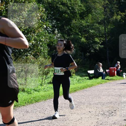27.09.2026 - 35. Volkslauf durch das schöne Alstertal Dr. Thomas Lammeyer http://msf.ph/oto/10568615 27.09.2026 10:53:56 Laufen 4123 meine-sportfotos.de