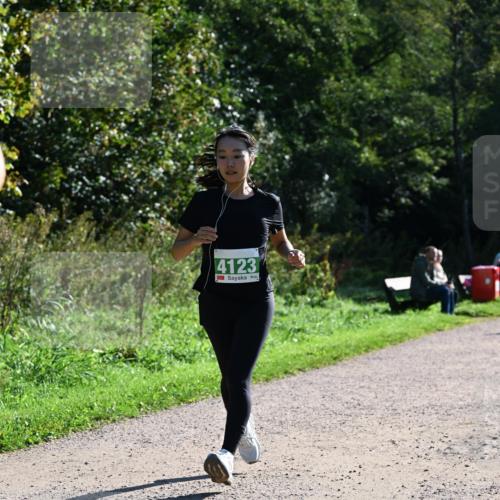 27.09.2026 - 35. Volkslauf durch das schöne Alstertal Dr. Thomas Lammeyer http://msf.ph/oto/10568617 27.09.2026 10:53:56 Laufen 4123 meine-sportfotos.de