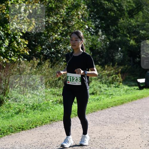 27.09.2026 - 35. Volkslauf durch das schöne Alstertal Dr. Thomas Lammeyer http://msf.ph/oto/10568619 27.09.2026 10:53:56 Laufen 4123 meine-sportfotos.de