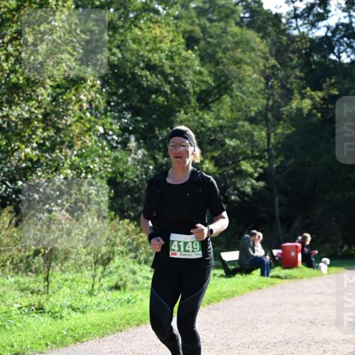 27.09.2026 - 35. Volkslauf durch das schöne Alstertal Dr. Thomas Lammeyer http://msf.ph/oto/10568628 27.09.2026 10:54:01 Laufen 4149 meine-sportfotos.de