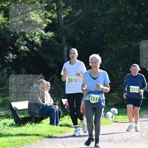 27.09.2026 - 35. Volkslauf durch das schöne Alstertal Dr. Thomas Lammeyer http://msf.ph/oto/10568635 27.09.2026 10:54:07 Laufen 4159, 4117, 4155 meine-sportfotos.de