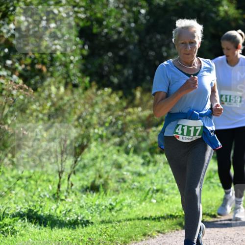 27.09.2026 - 35. Volkslauf durch das schöne Alstertal Dr. Thomas Lammeyer http://msf.ph/oto/10568652 27.09.2026 10:54:10 Laufen 4117, 4159 meine-sportfotos.de