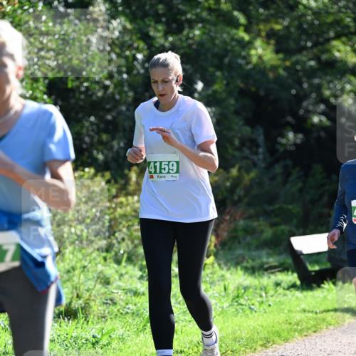 27.09.2026 - 35. Volkslauf durch das schöne Alstertal Dr. Thomas Lammeyer http://msf.ph/oto/10568656 27.09.2026 10:54:11 Laufen 4159 meine-sportfotos.de