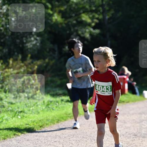 27.09.2026 - 35. Volkslauf durch das schöne Alstertal Dr. Thomas Lammeyer http://msf.ph/oto/10568669 27.09.2026 10:54:14 Laufen 4043 meine-sportfotos.de