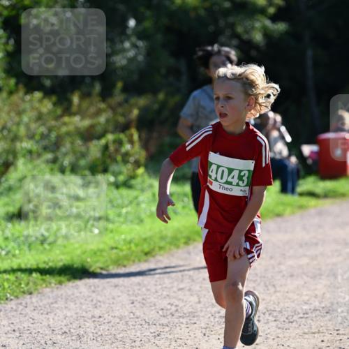 27.09.2026 - 35. Volkslauf durch das schöne Alstertal Dr. Thomas Lammeyer http://msf.ph/oto/10568671 27.09.2026 10:54:14 Laufen 4043 meine-sportfotos.de