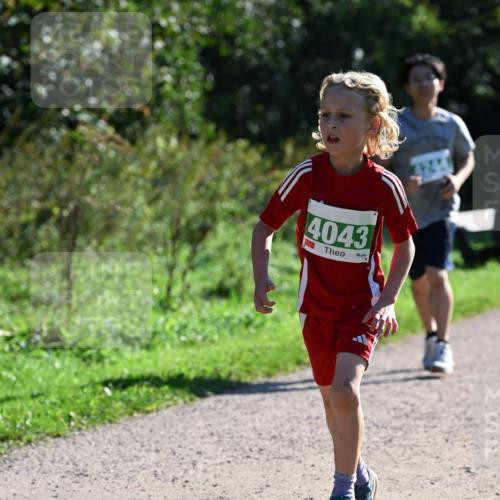 27.09.2026 - 35. Volkslauf durch das schöne Alstertal Dr. Thomas Lammeyer http://msf.ph/oto/10568675 27.09.2026 10:54:15 Laufen 4043 meine-sportfotos.de