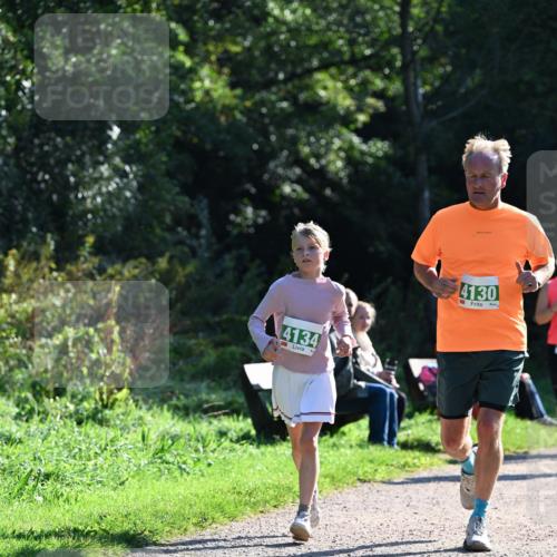 27.09.2026 - 35. Volkslauf durch das schöne Alstertal Dr. Thomas Lammeyer http://msf.ph/oto/10568712 27.09.2026 10:54:28 Laufen 4134, 4130 meine-sportfotos.de
