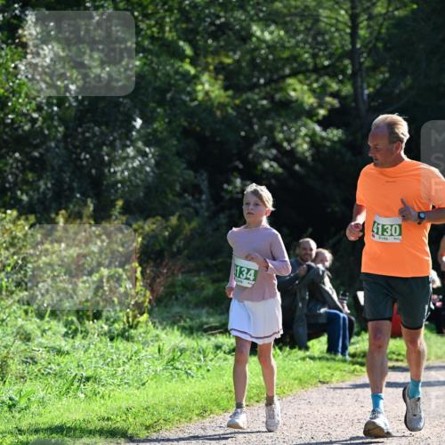 27.09.2026 - 35. Volkslauf durch das schöne Alstertal Dr. Thomas Lammeyer http://msf.ph/oto/10568714 27.09.2026 10:54:29 Laufen 134, 4130 meine-sportfotos.de